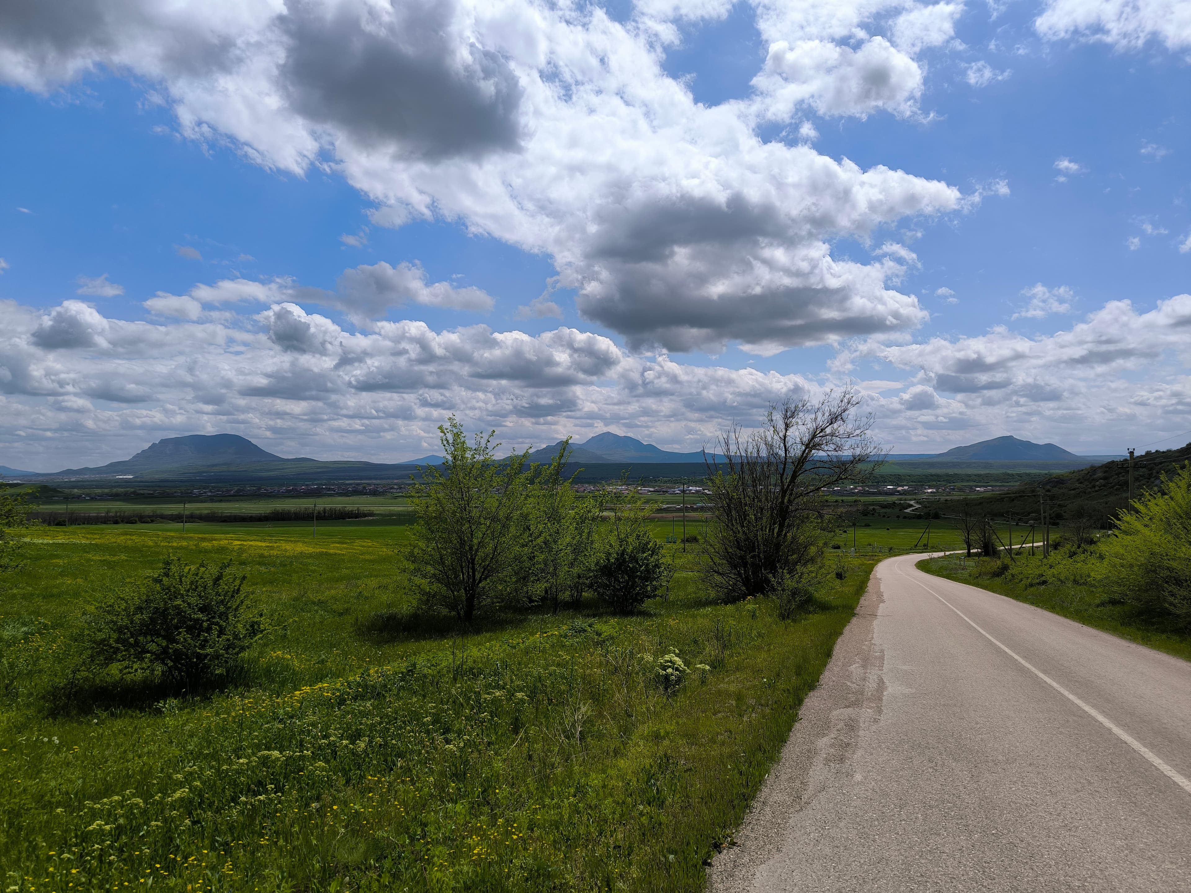 image Новая Жизнь