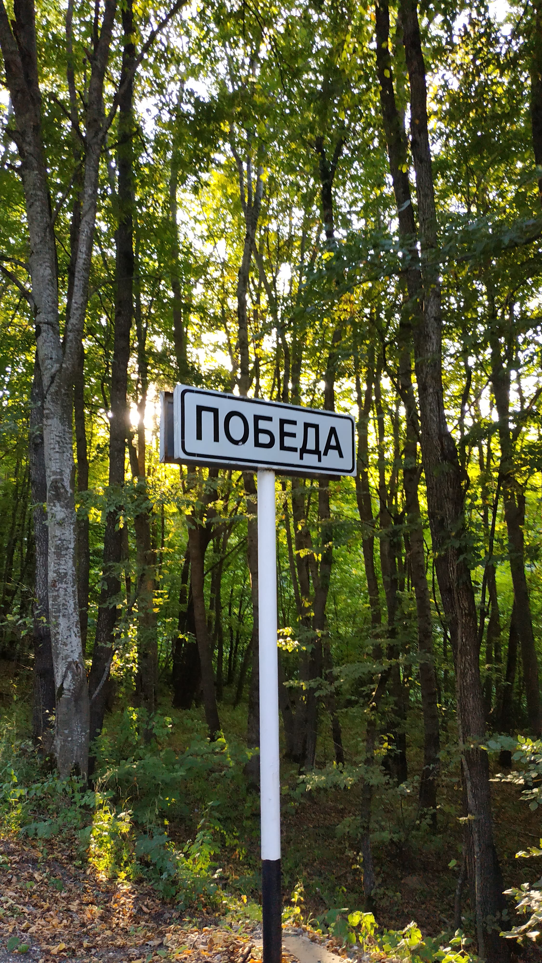 Картинка к блоку 1