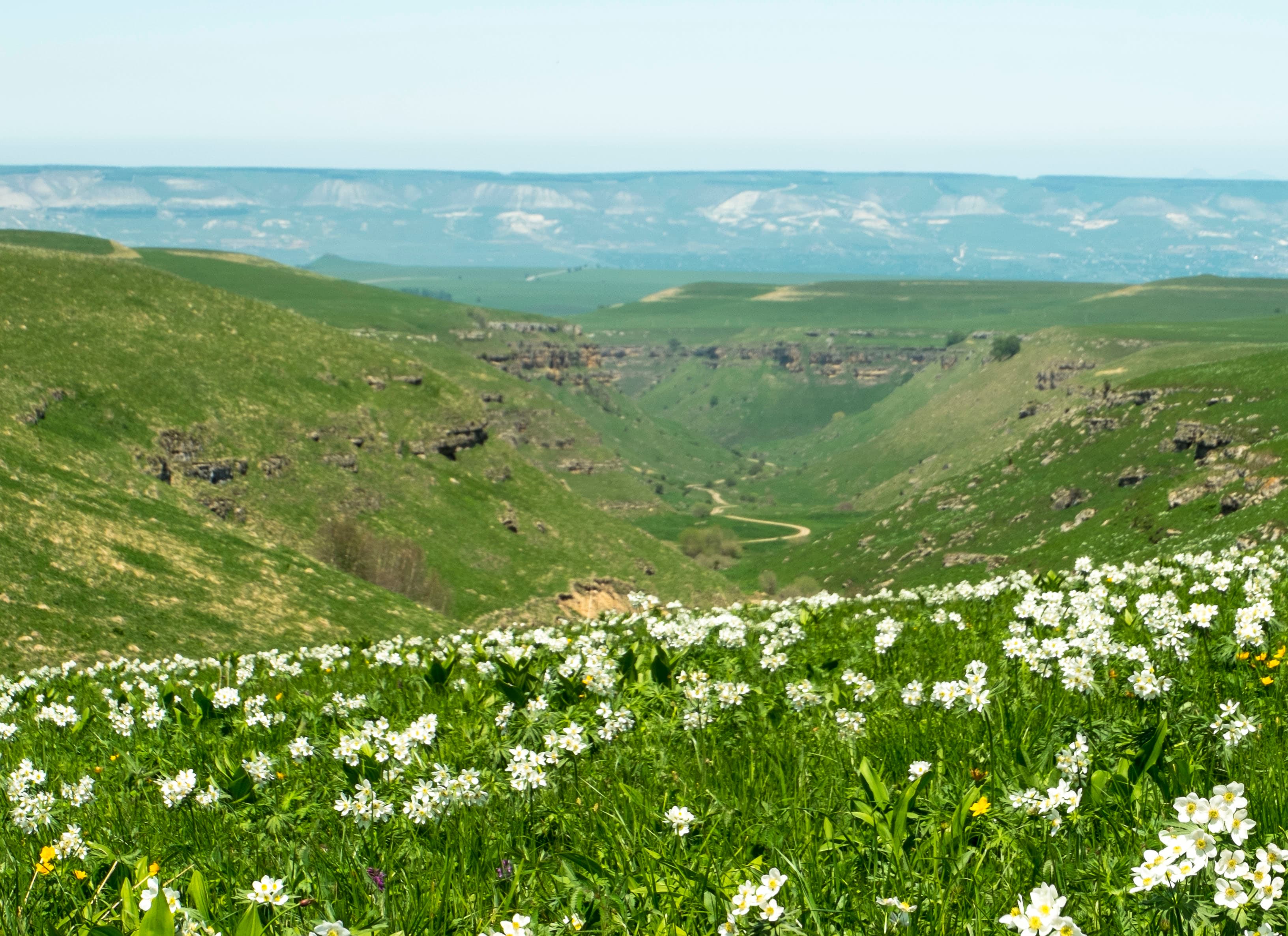 image Ущелье балки Медовая