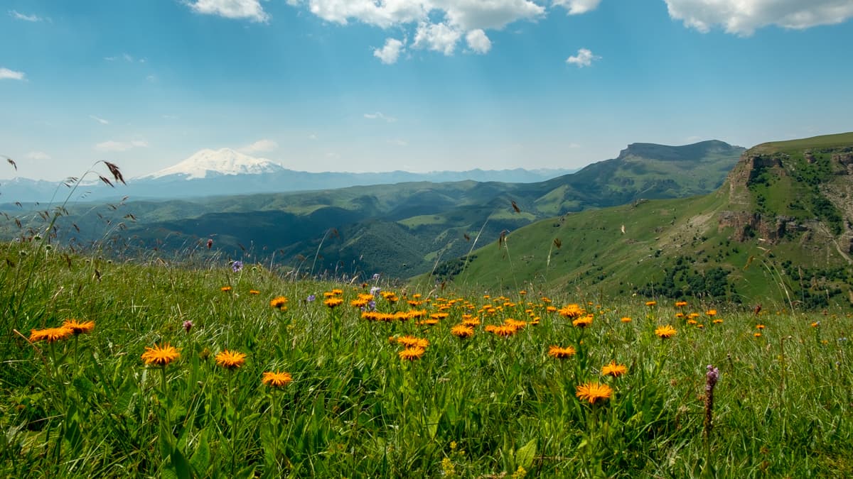 image Вид на Малый Бермамыт