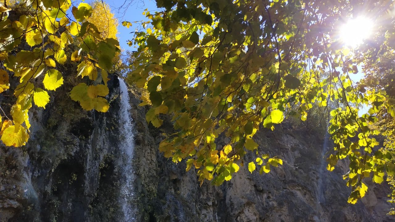 image Медовые водопады