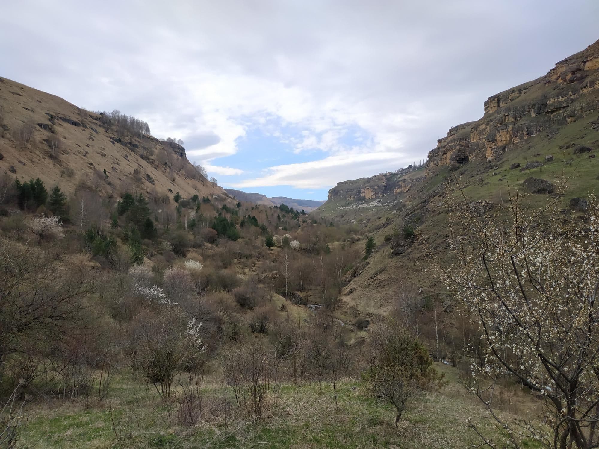 image Березовское ущелье