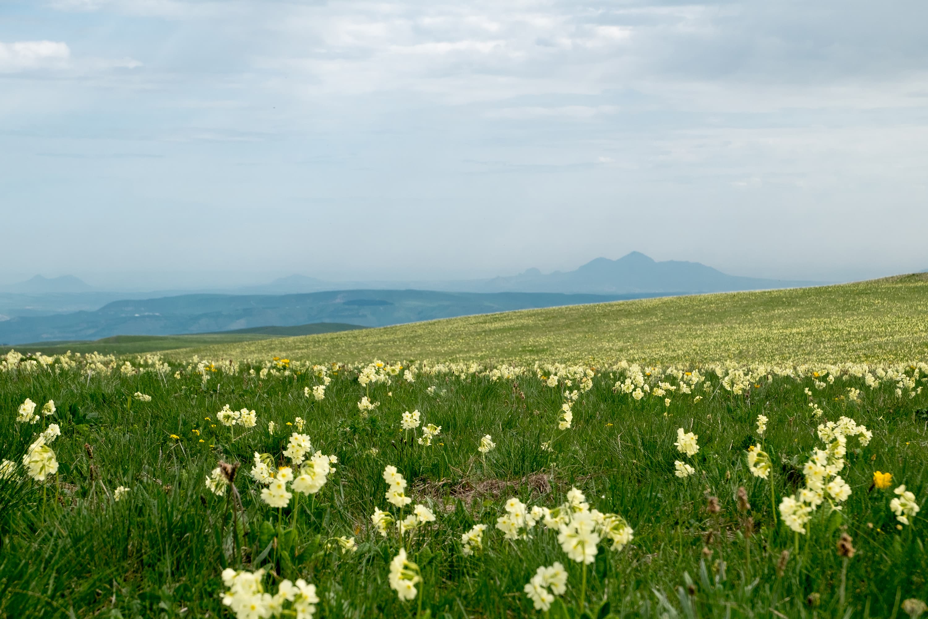 image Вид со смотровой площадки на горы КМВ