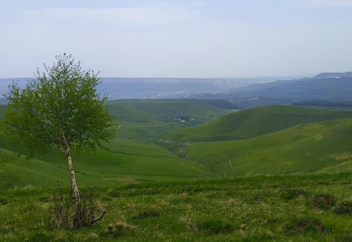 image Вид на поселок Высокогорный и Кисловодск