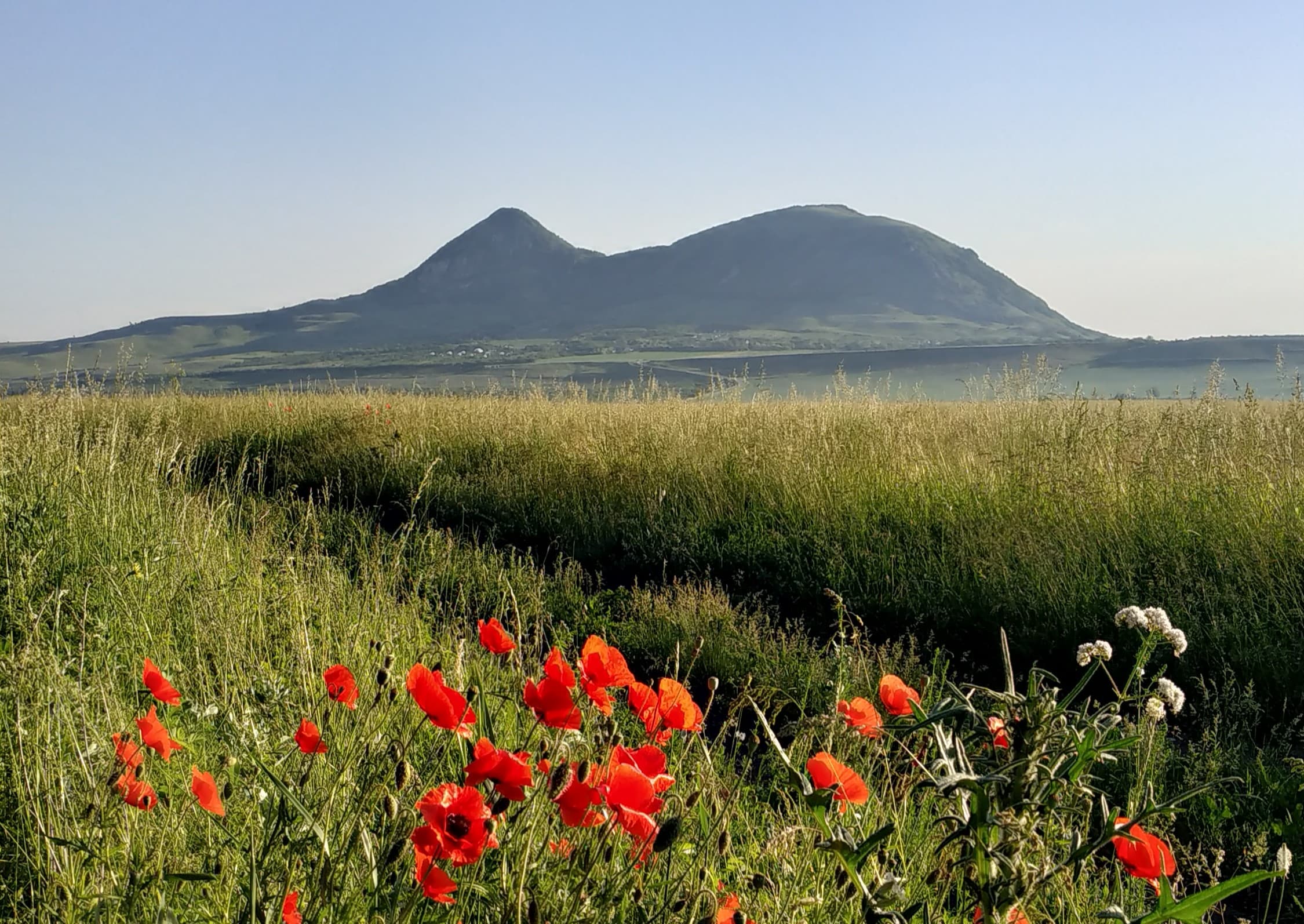 image Гора Верблюд