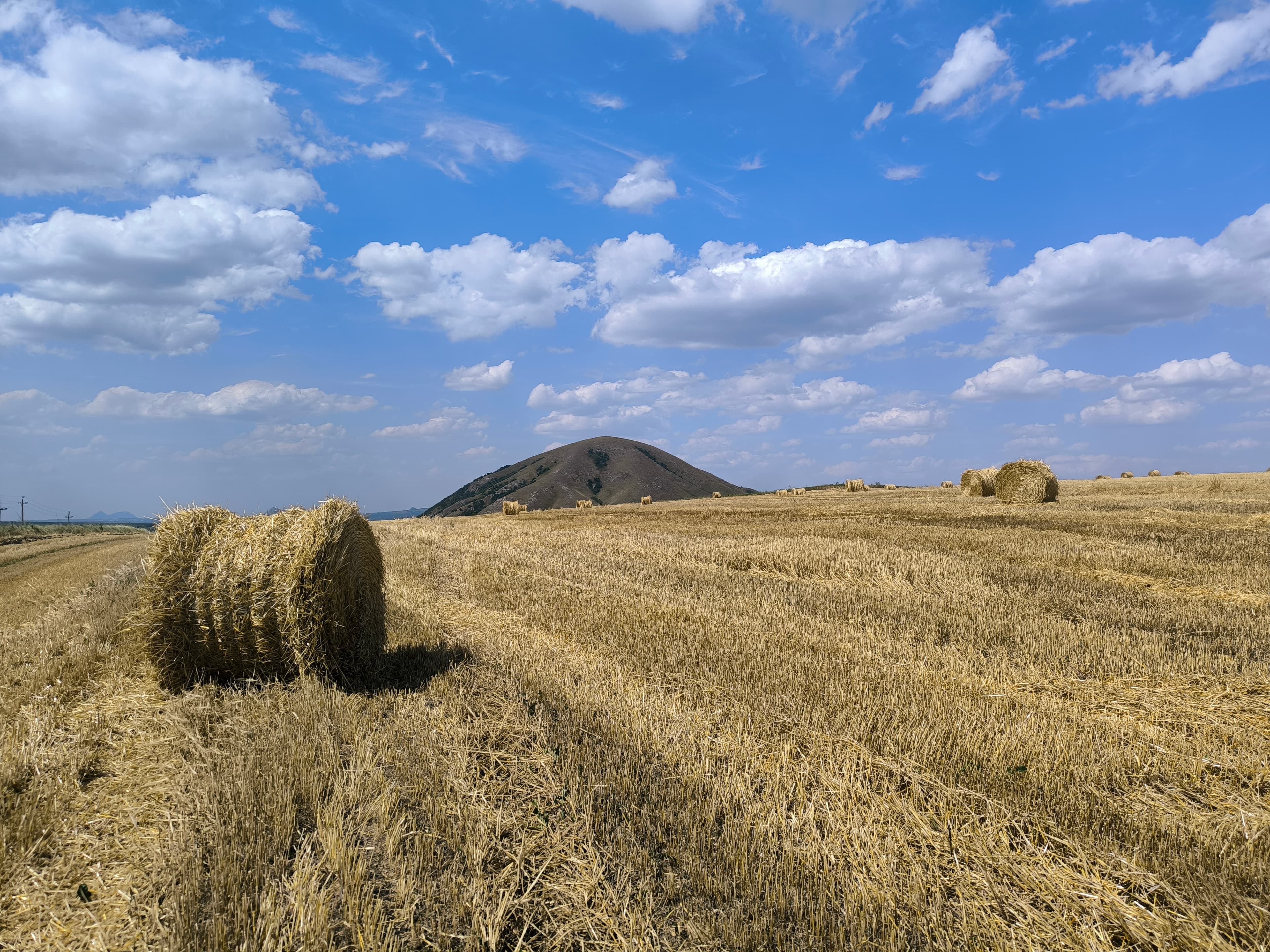 image Этока из Пятигорска