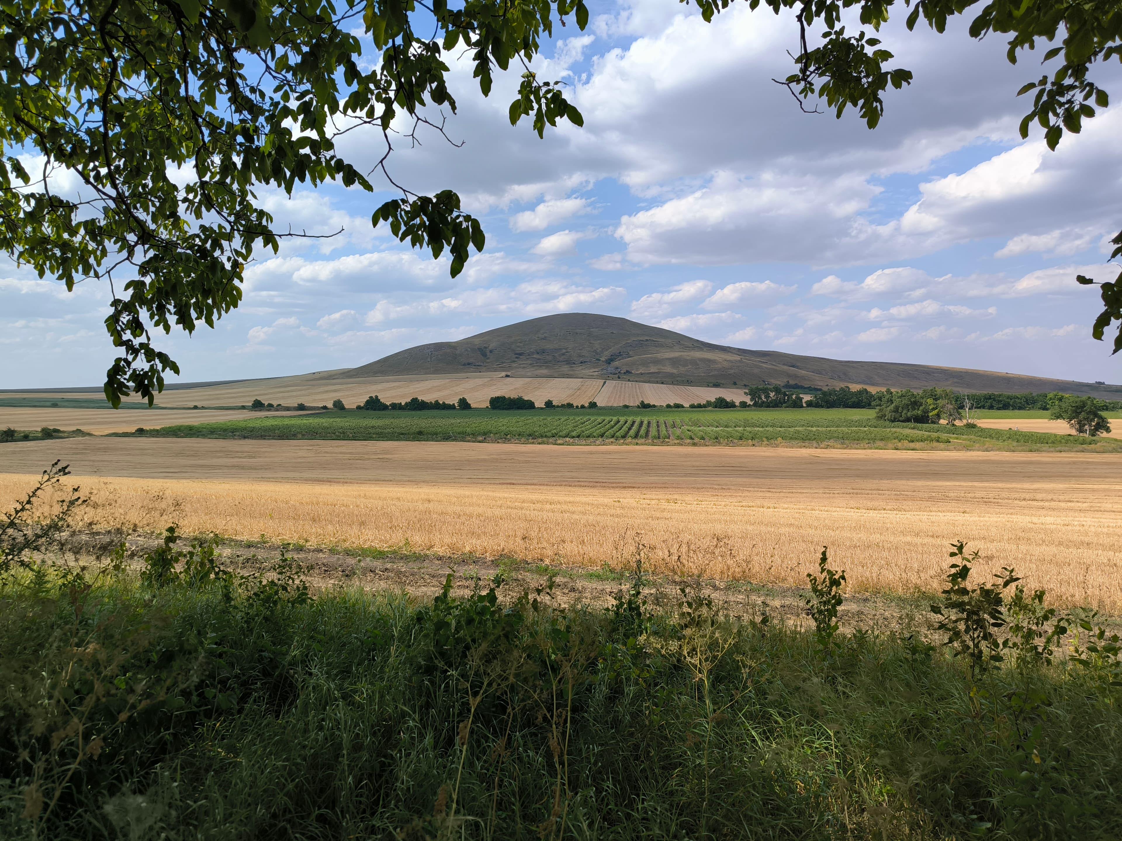 image Золотой курган