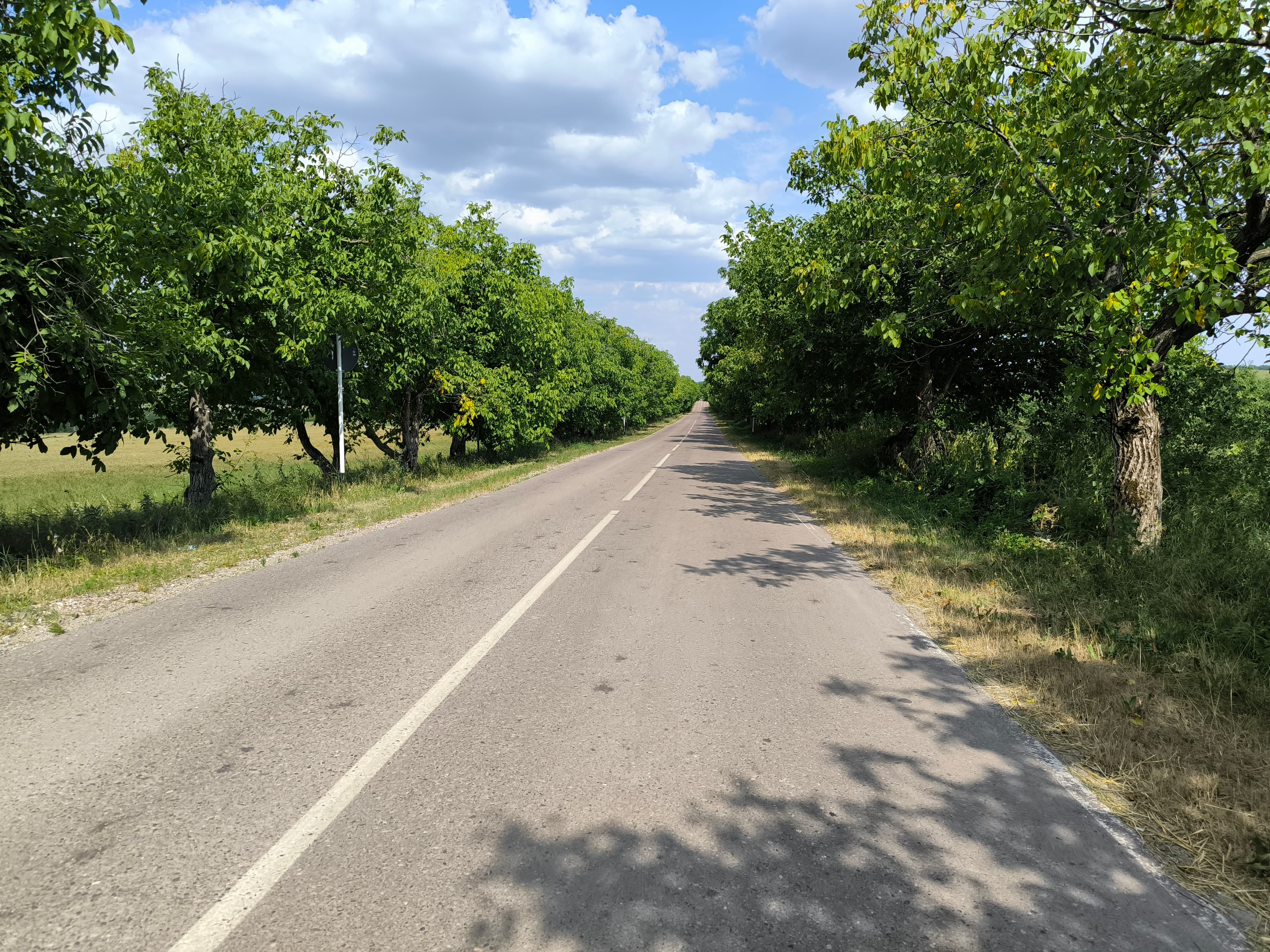 image Дорога между п.Этока и п.Тамбукан