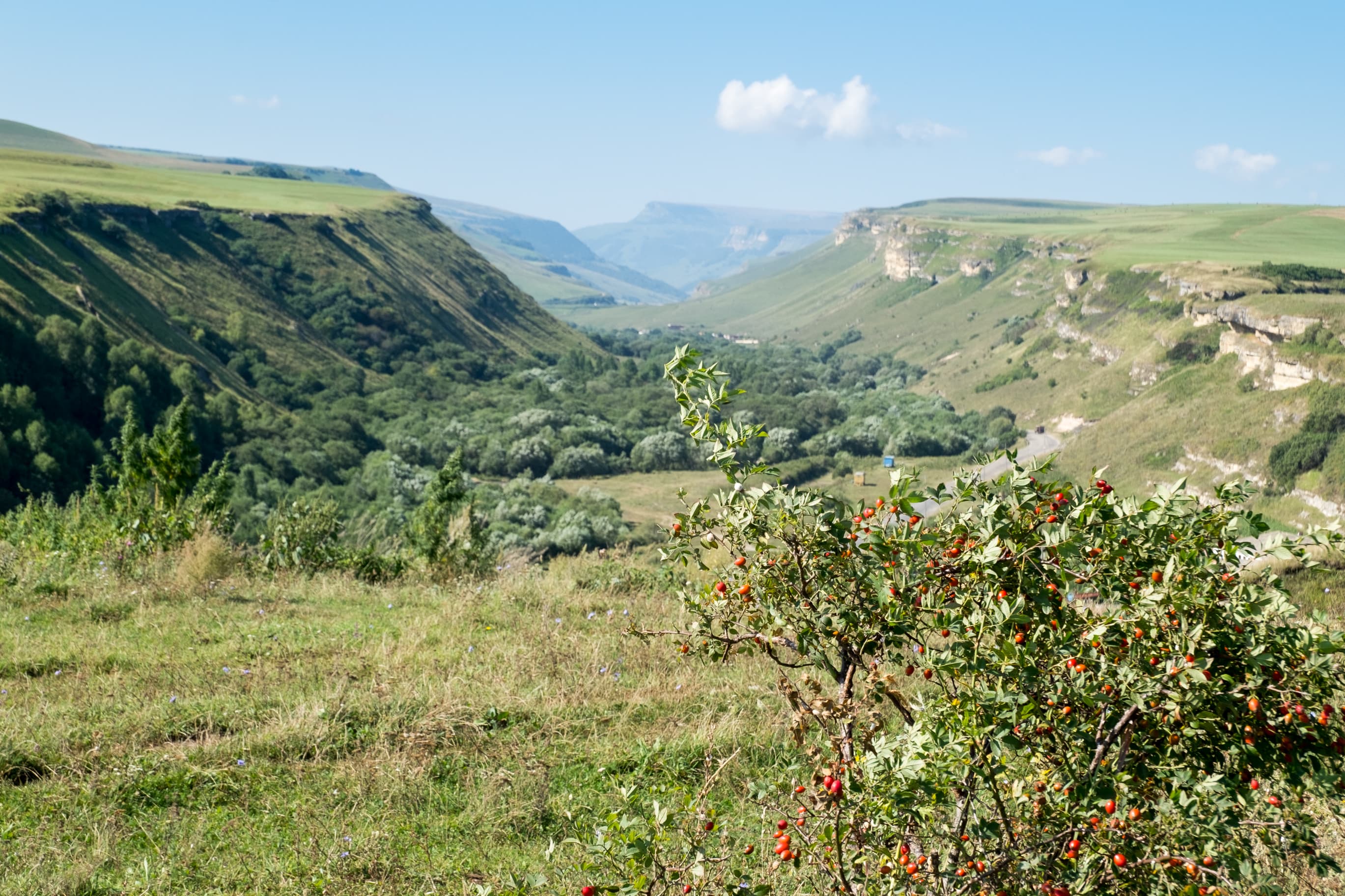 image Долина реки Подкумок