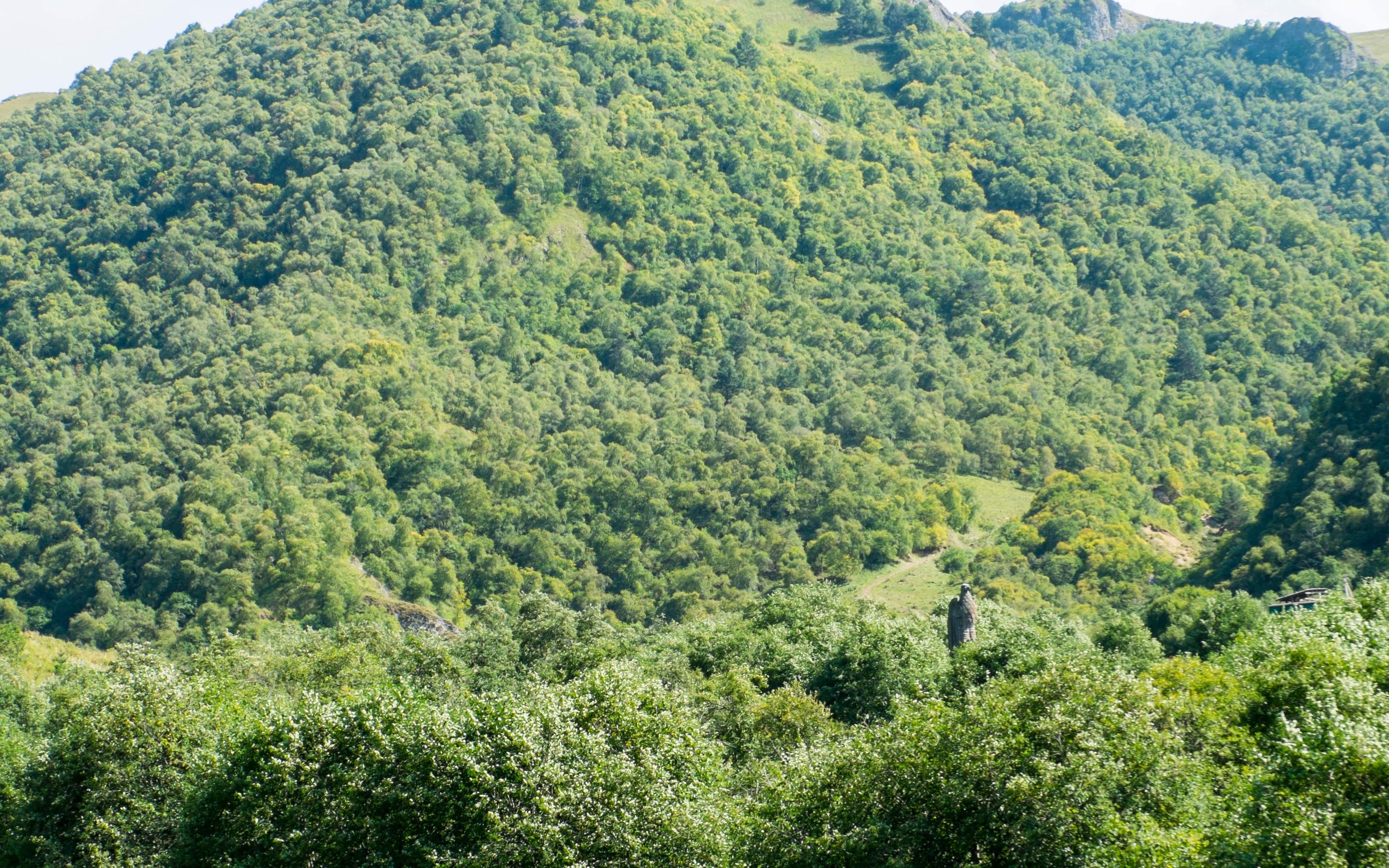 image Немецкий орёл