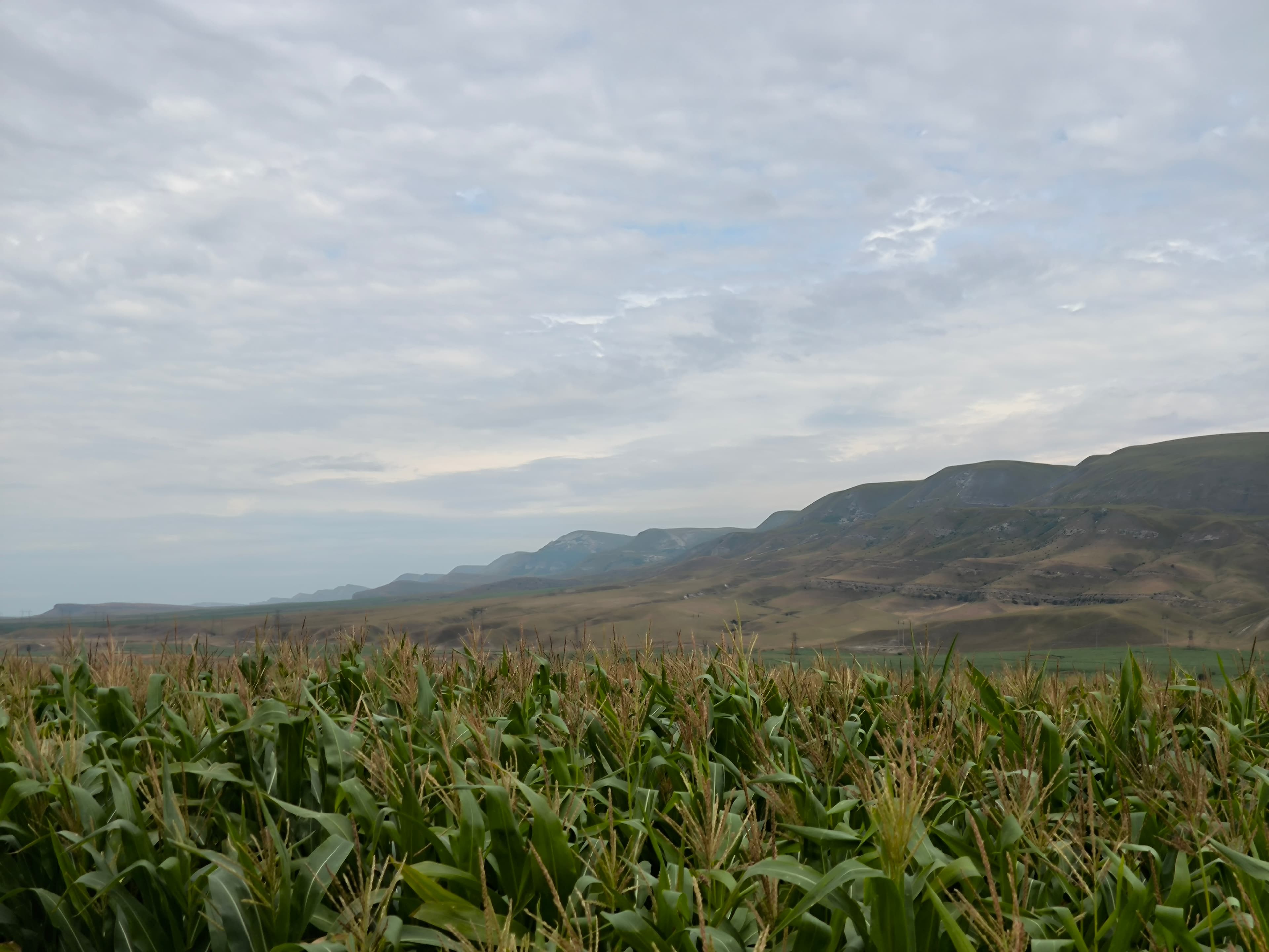 image Джинальский хребет