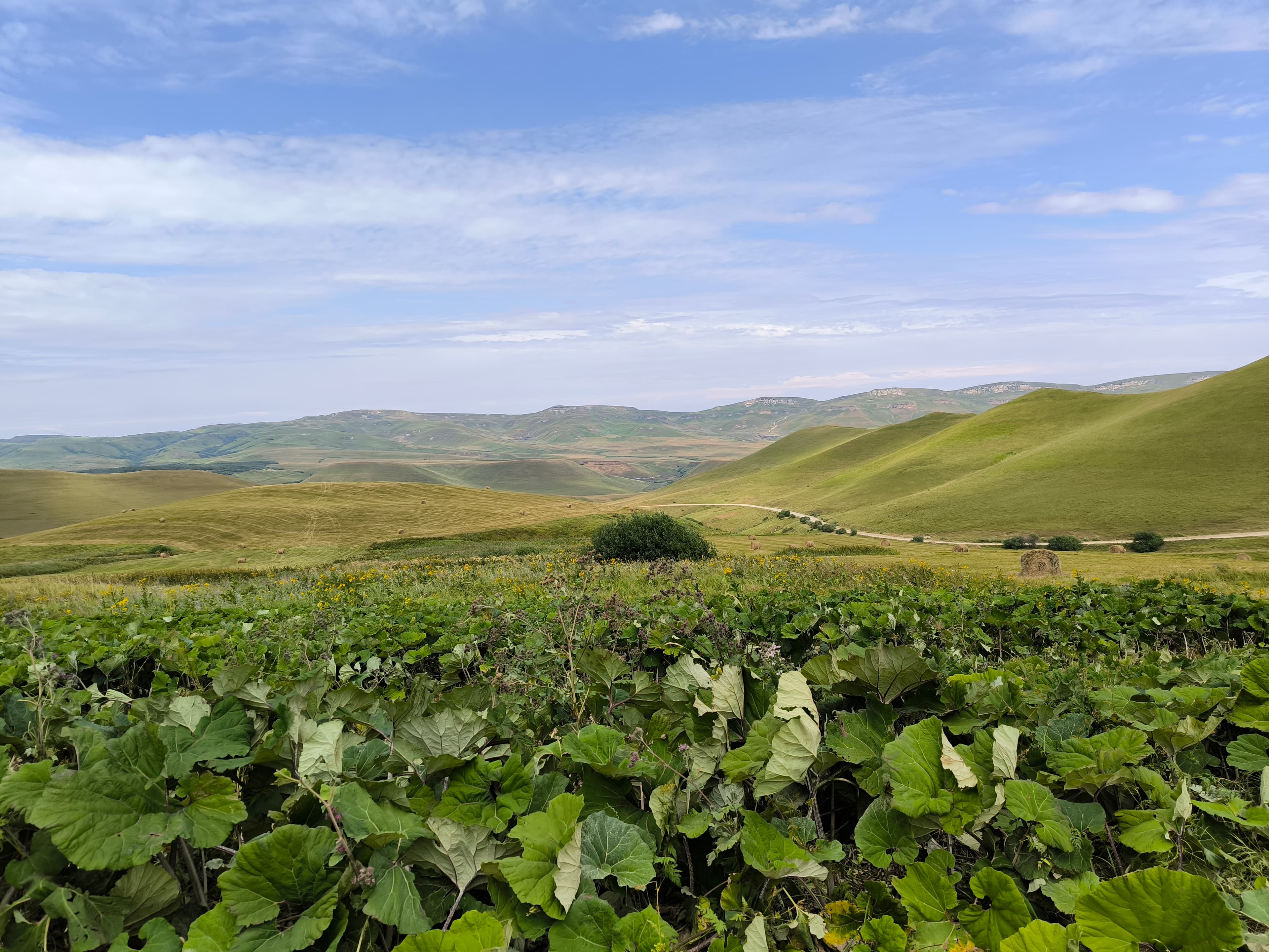 image Подъем от Кичмалки