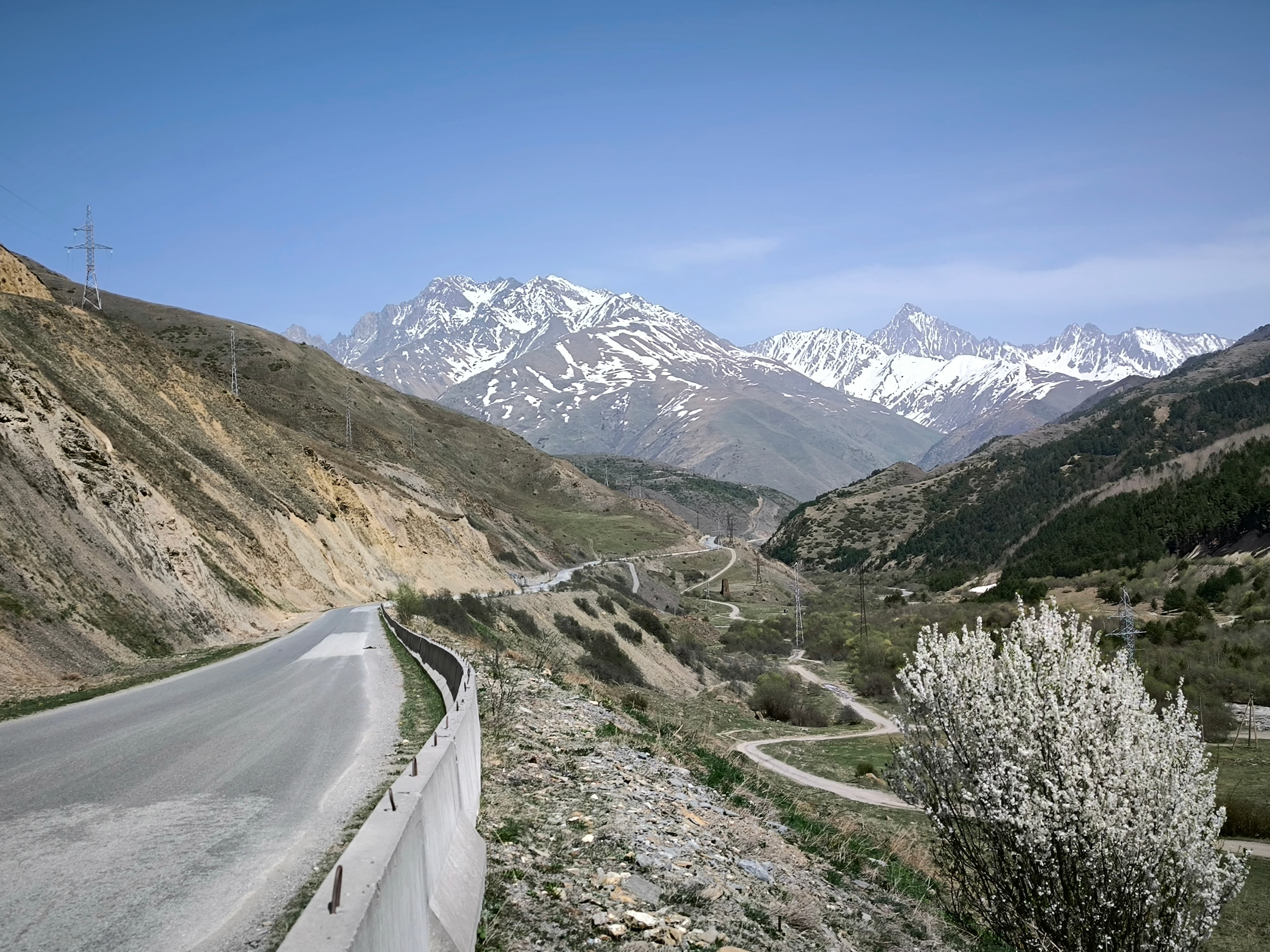 image Мамисон и Цей