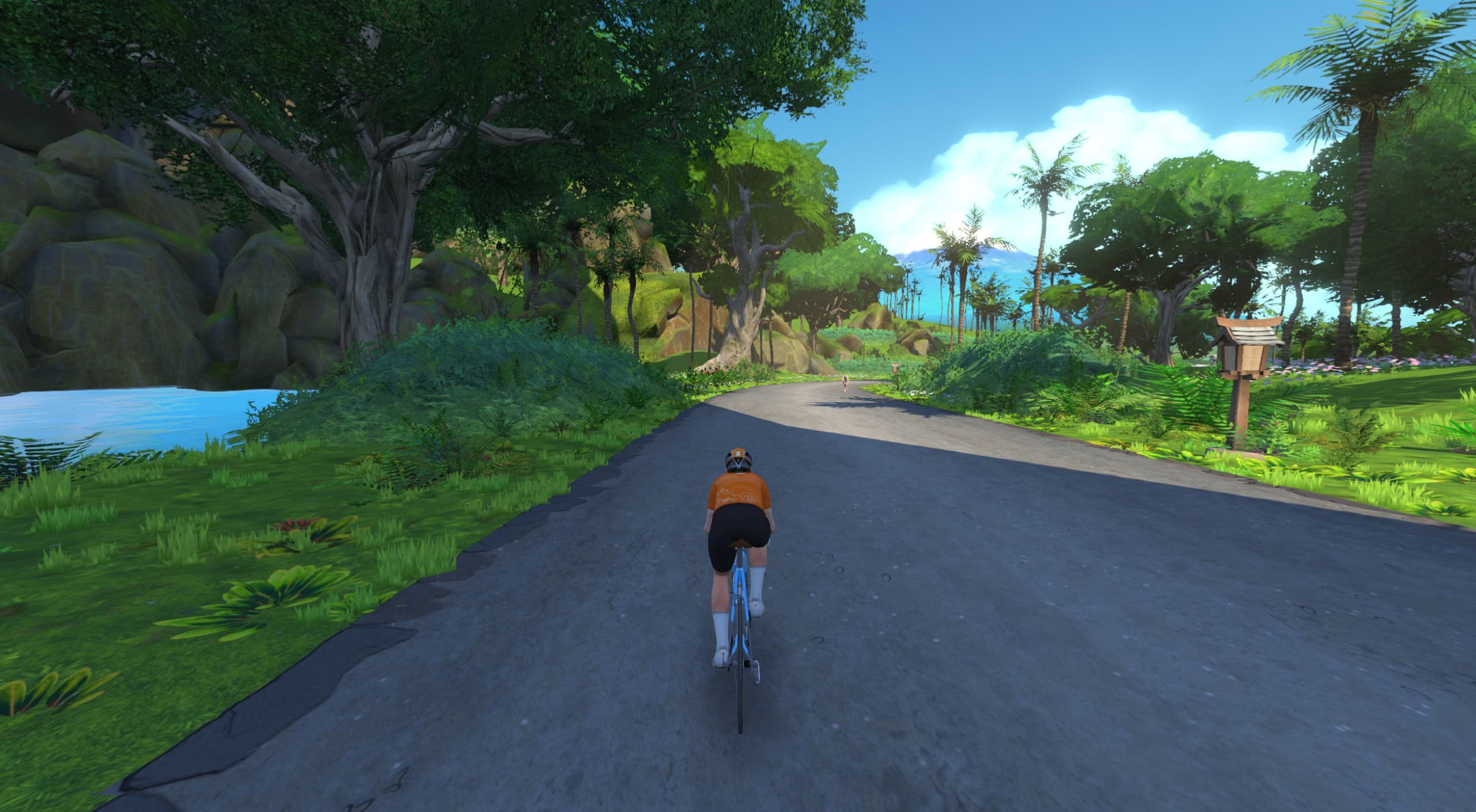 Дайджест заездов ZwiftPower.ru: 9 – 15 февраля 2026